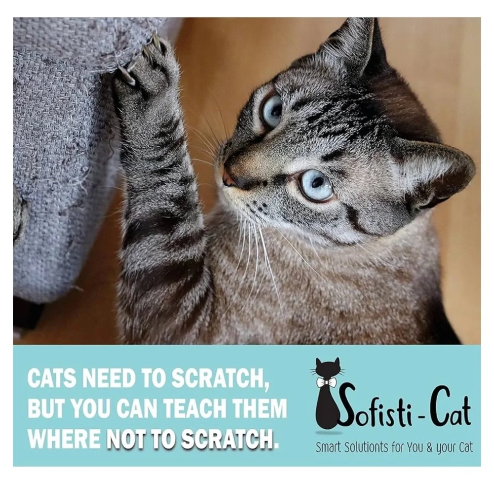 Scratch Deterrent Tape - Transparent